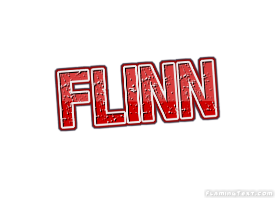 Flinn Faridabad
