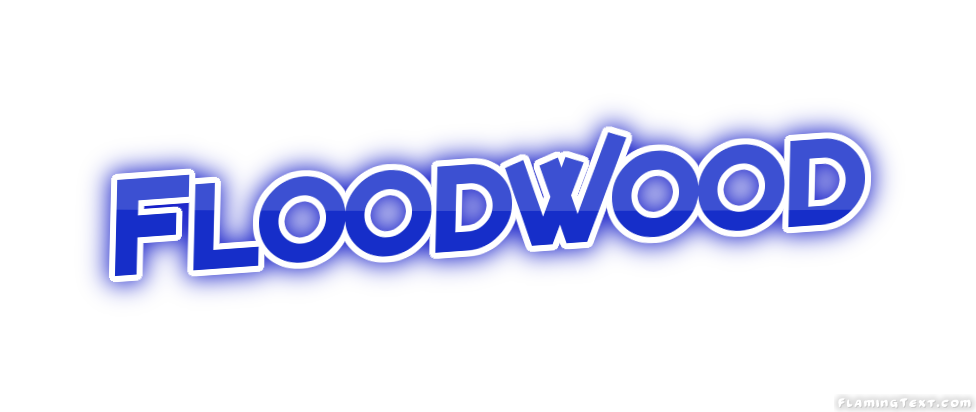 Floodwood город