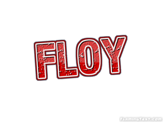 Floy 市