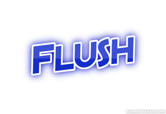 Flush Ville