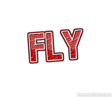 Fly 市