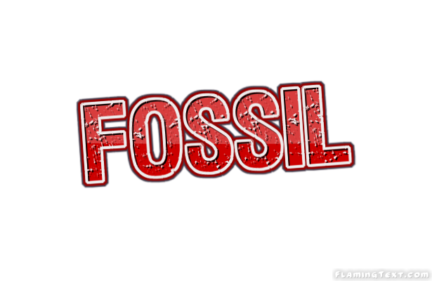 Fossil 市