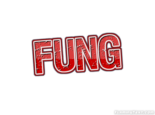 Fung Ville