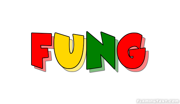 Fung город