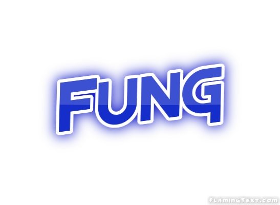 Fung город