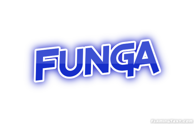 Funga City