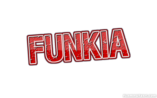 Funkia Cidade