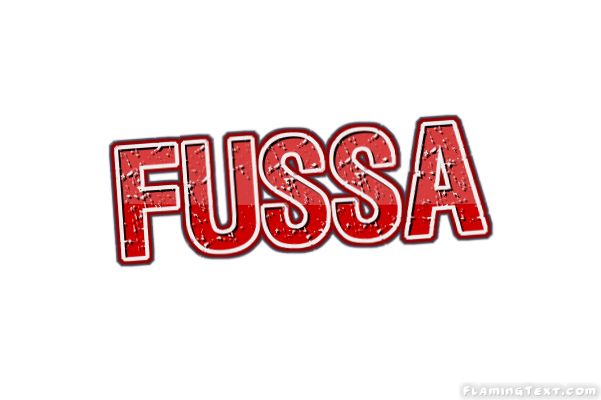 Fussa City