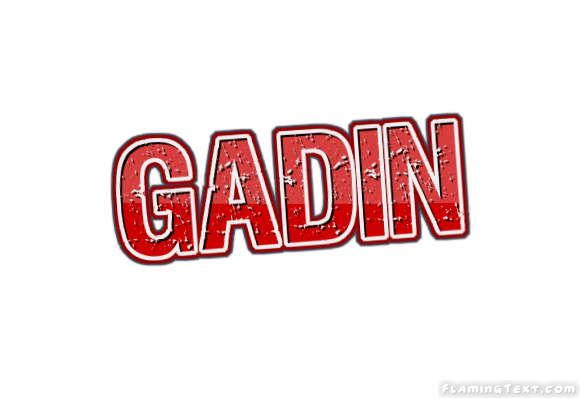 Gadin City