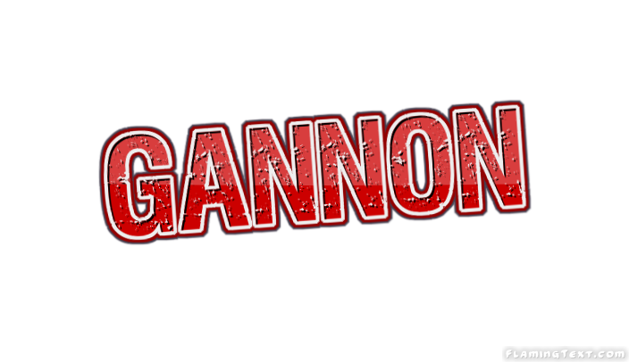 Gannon 市