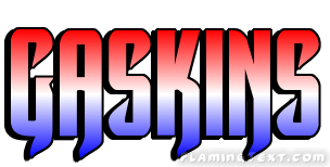 Gaskins 市