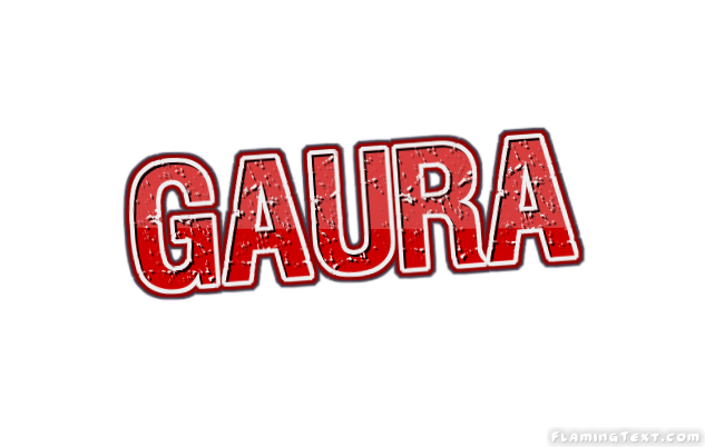 Gaura City