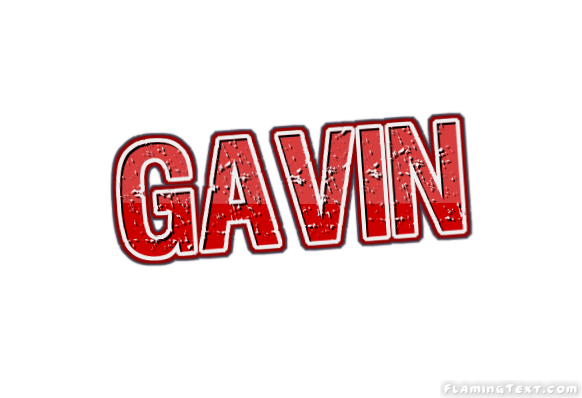 Gavin город