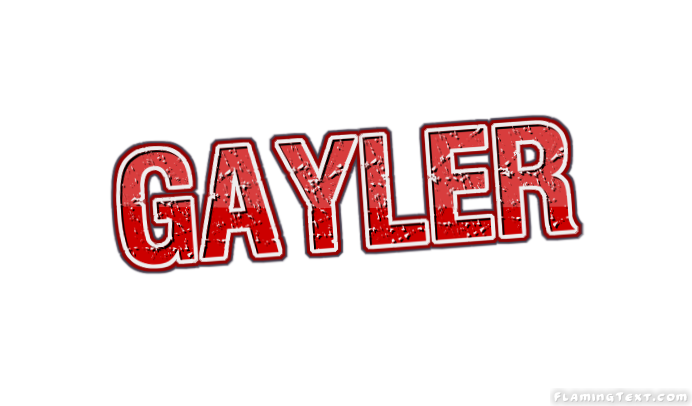 Gayler 市