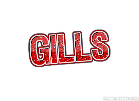Gills City