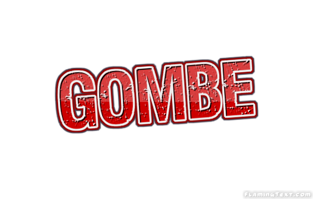 Gombe City