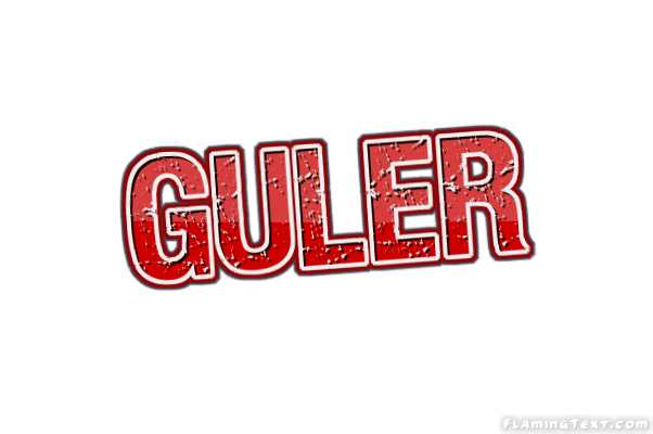 Guler City