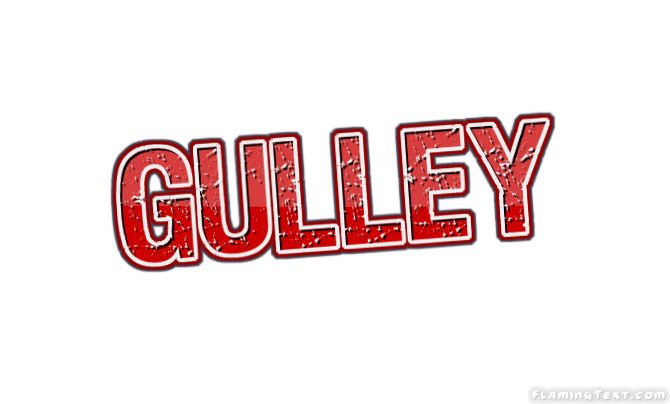 Gulley 市