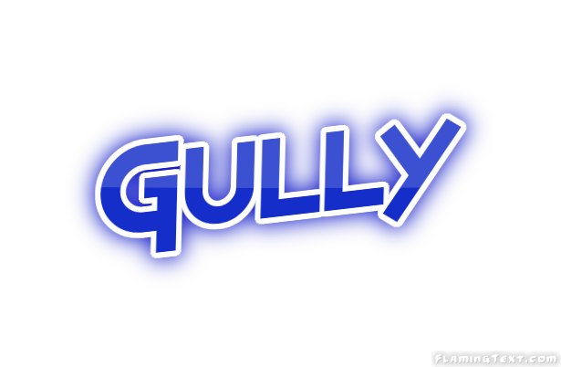 Gully Ville