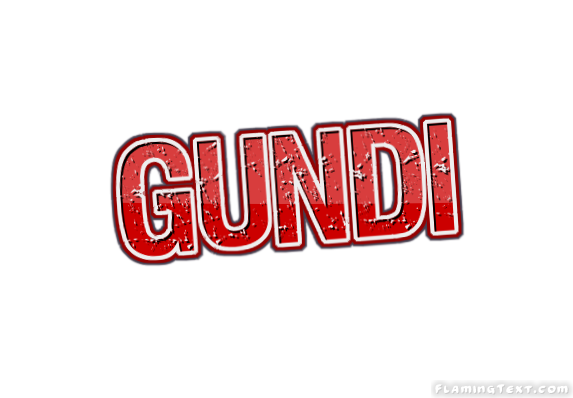 Gundi City