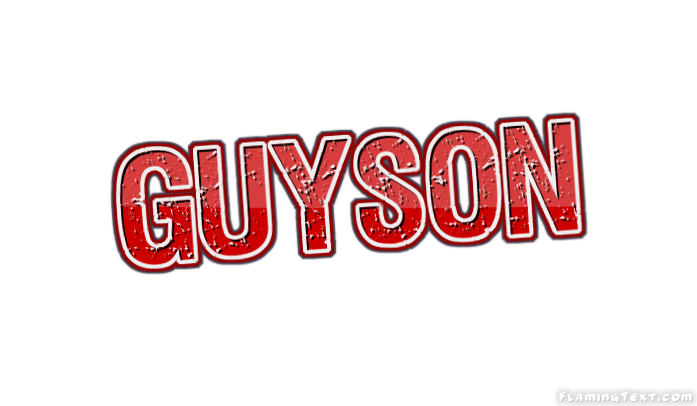 Guyson City