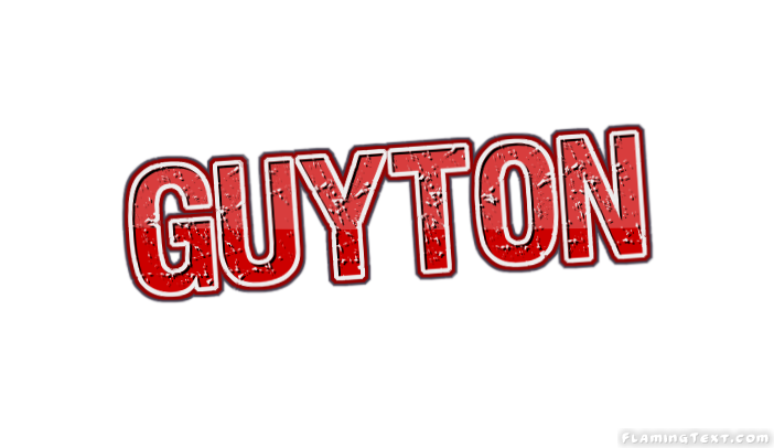 Guyton город
