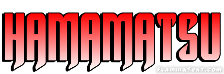 Hamamatsu مدينة