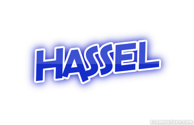 Hassel City