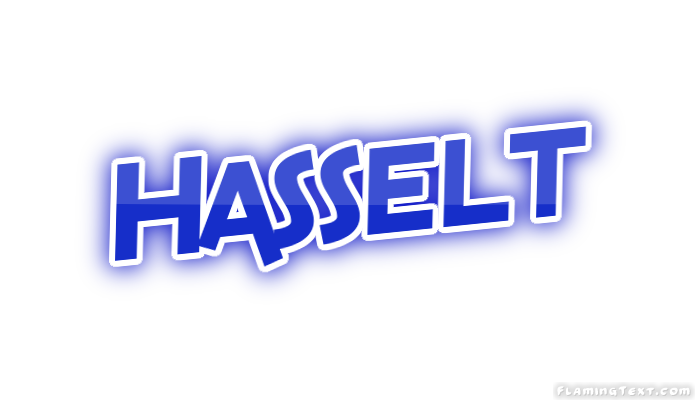 Hasselt город