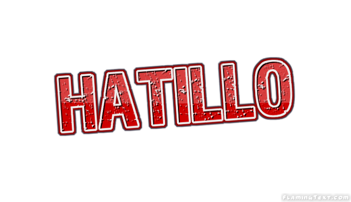 Hatillo City