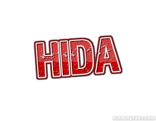 Hida 市