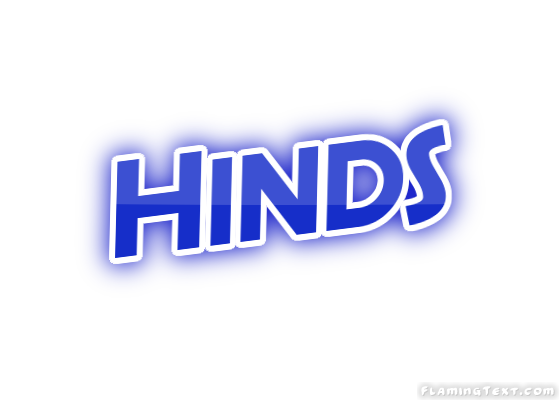 Hinds город