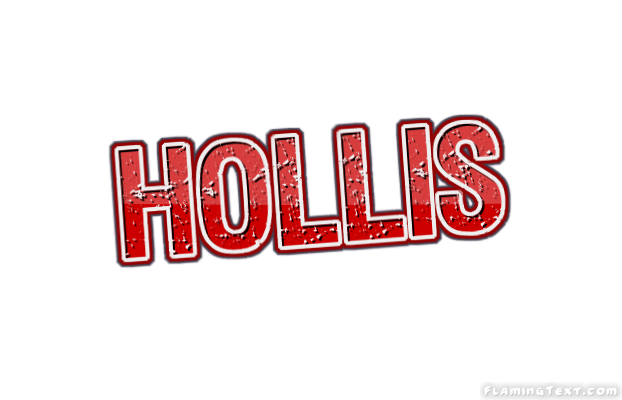 Hollis 市