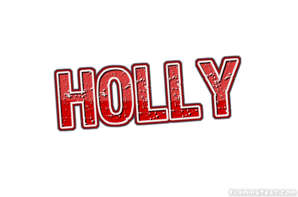 Holly 市