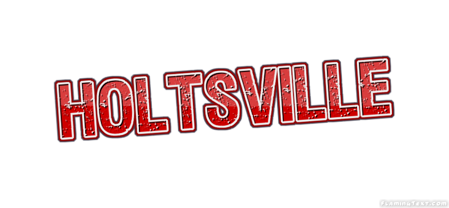 Holtsville Stadt