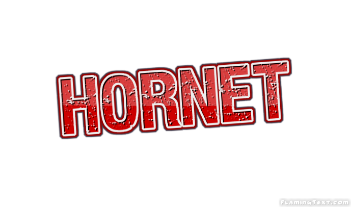 Hornet City