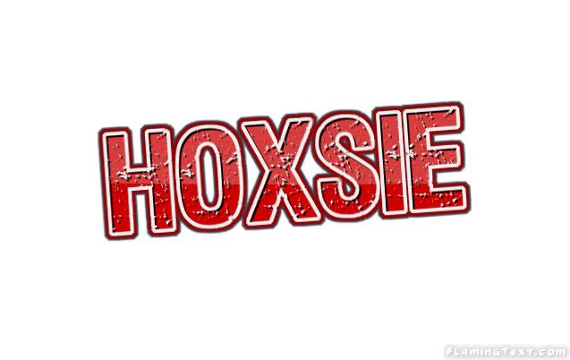 Hoxsie City