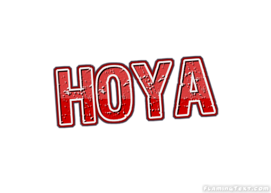 Hoya город