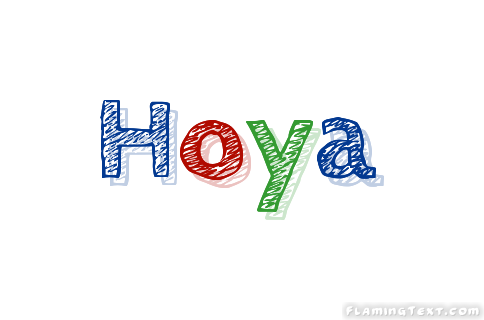 Hoya Stadt