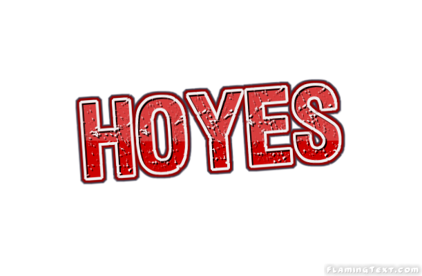 Hoyes City