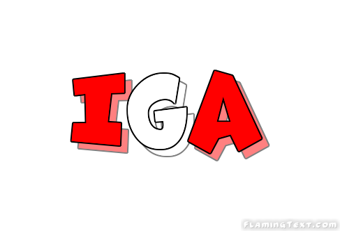 Iga City