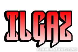 Ilgaz City
