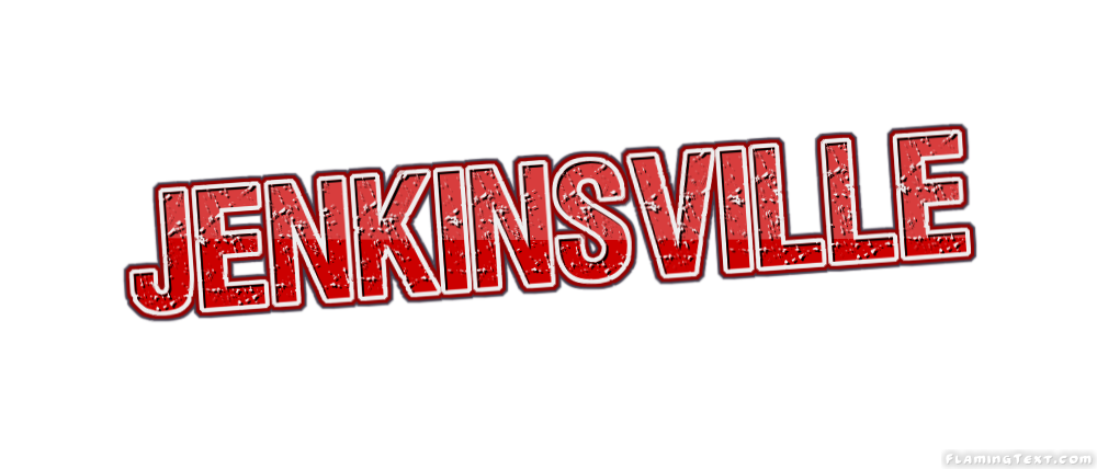 Jenkinsville مدينة