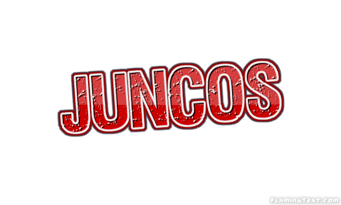 Juncos City