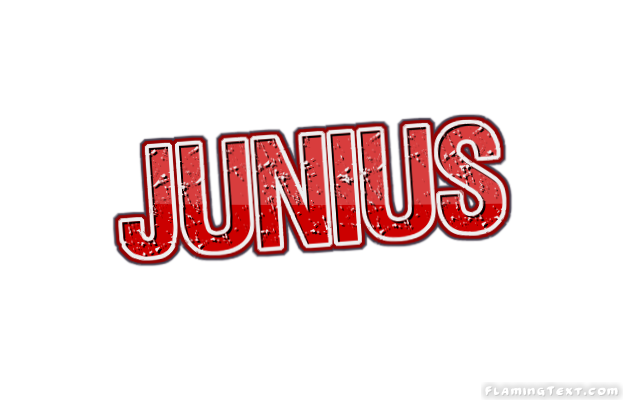 Junius 市
