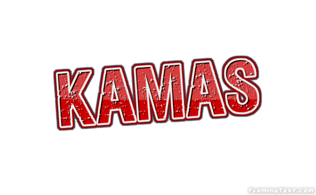 Kamas 市