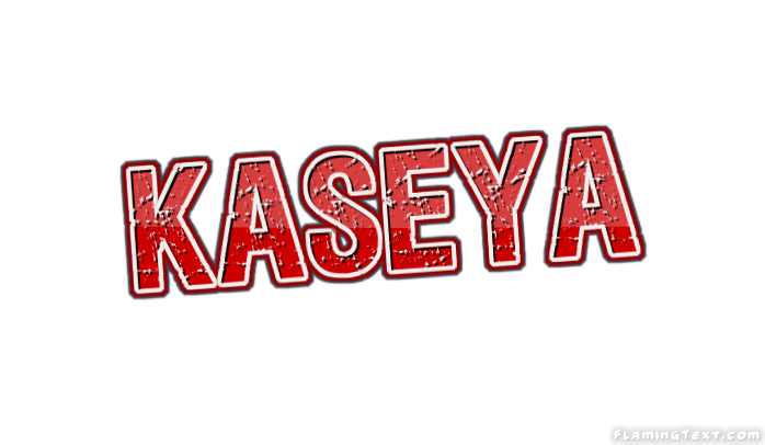 Kaseya 市