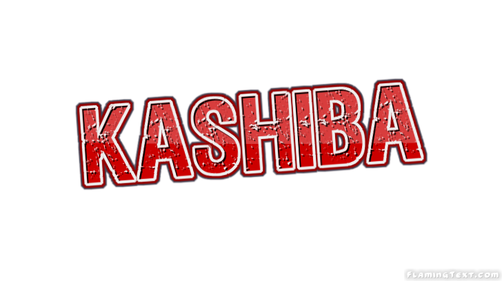 Kashiba город