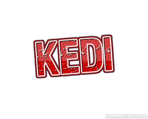 Kedi City