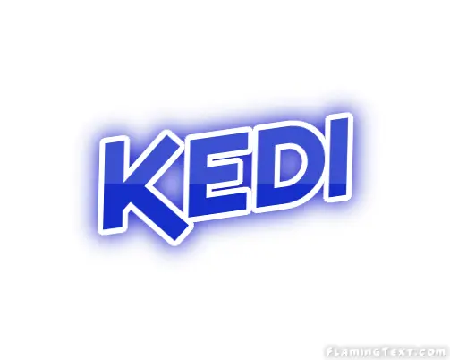 Kedi City